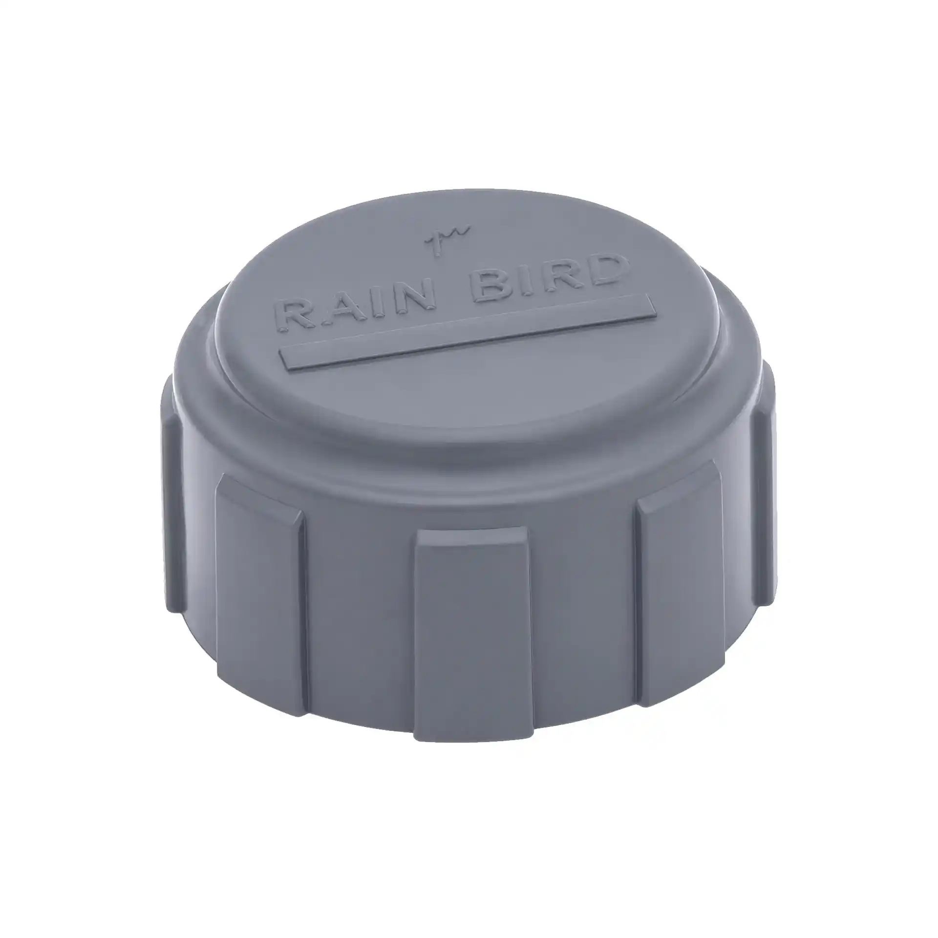 Rain Bird PVC Ventilverteiler 1348-010 - Endkappe - 1 Zoll IG