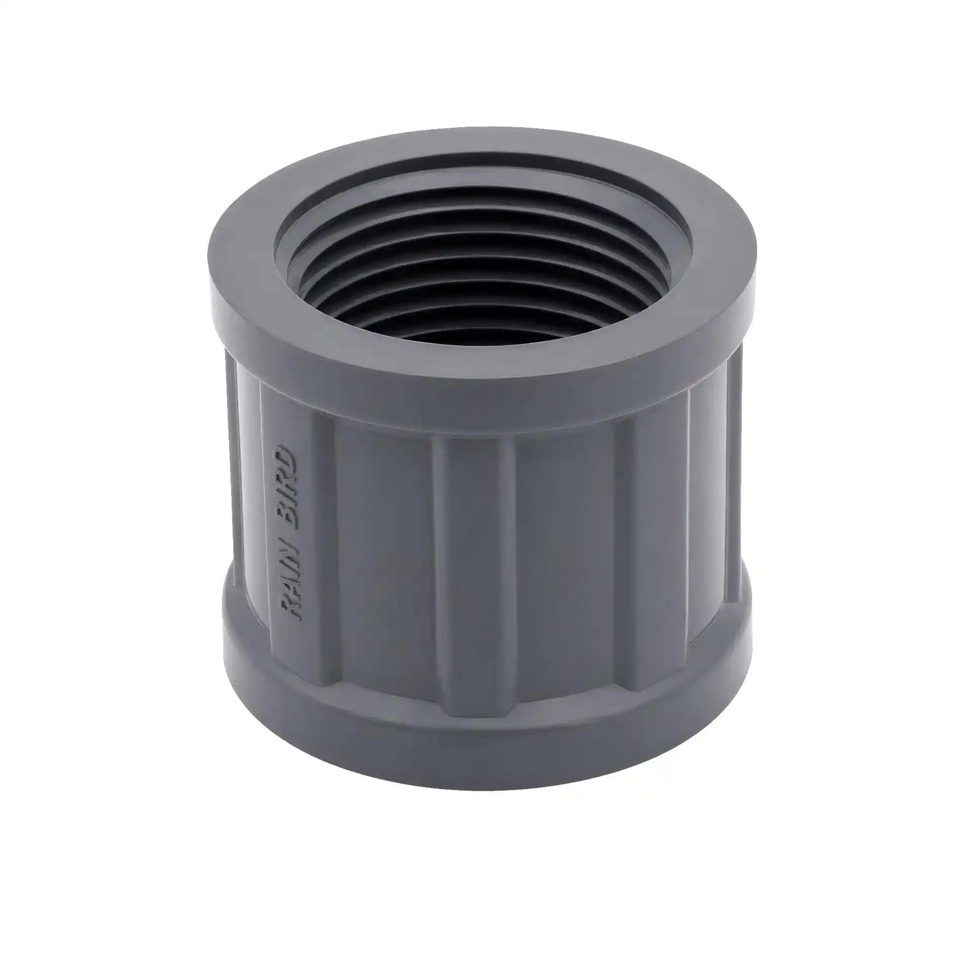 Rain Bird PVC Ventilverteiler 1330-010 - Anschlusskupplung - 1 Zoll IG auf 1 Zoll IG