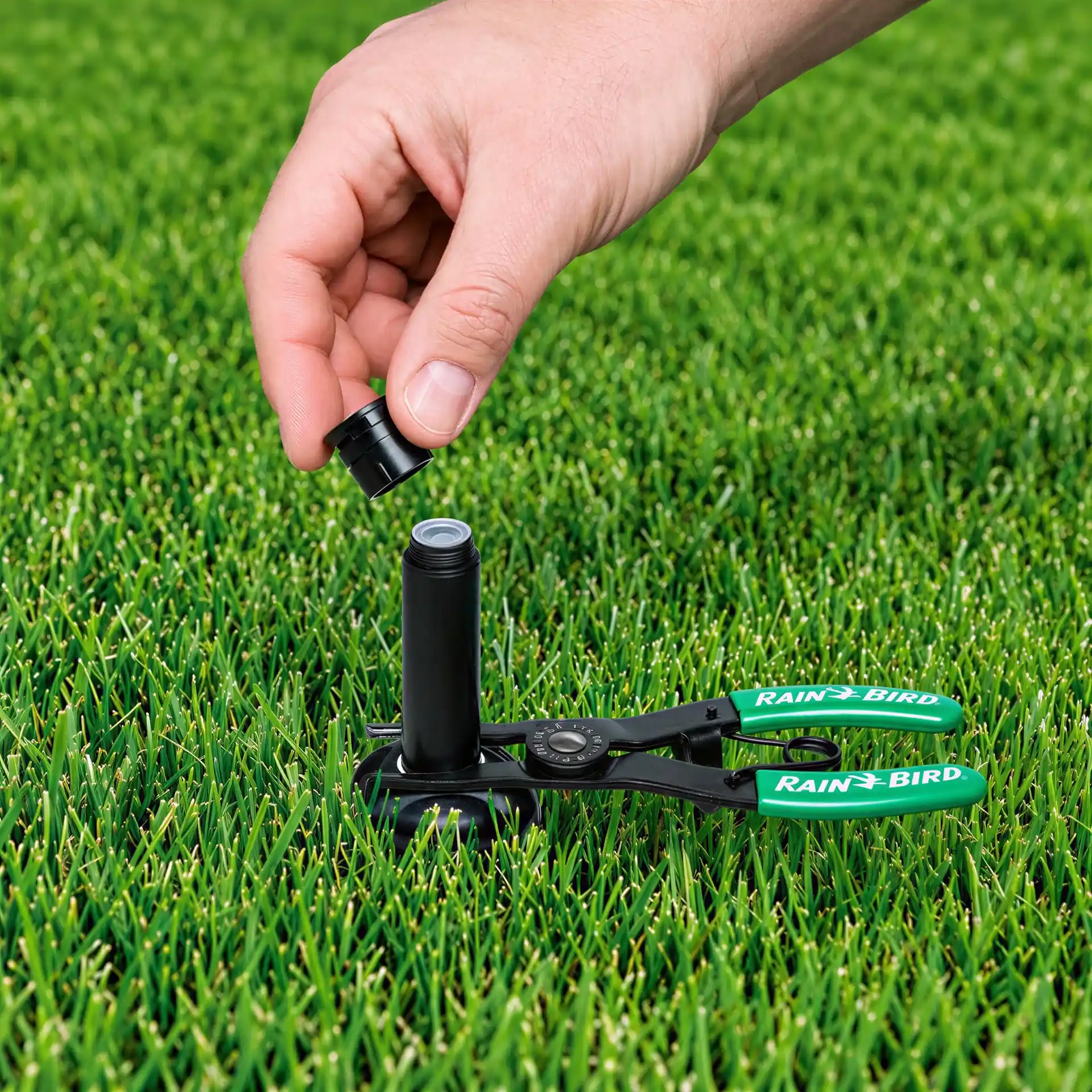 Rain Bird PTC1 tool for pulling up spray heads